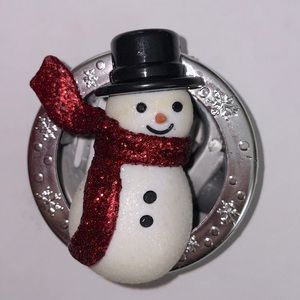 Car Fragrance Visor Clip